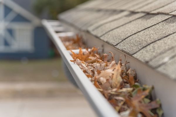 Leaf Barrier Installation in Saint Augustine