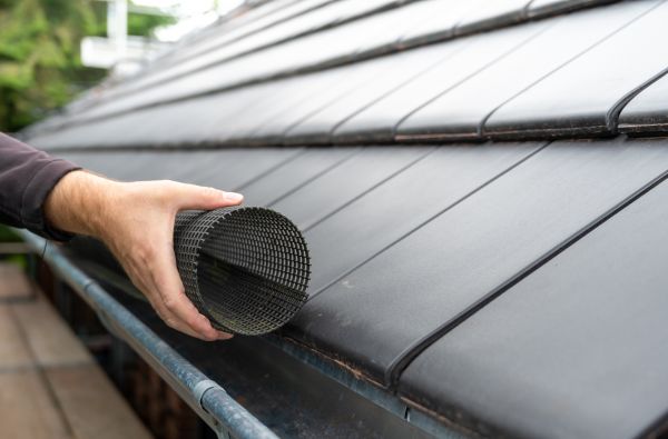 Gutter Mesh Installation in Saint Augustine